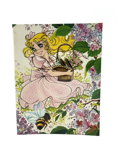 1981 raccoglitore quaderno - 1981#,