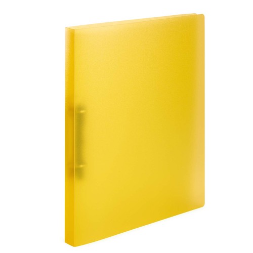 Raccoglitore anelli formato - raccoglitore,
