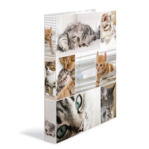 Set raccoglitori ad - set, 3